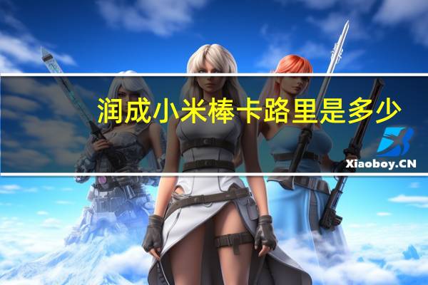 润成 小米棒卡路里是多少