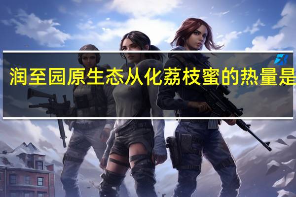 润至园 原生态从化荔枝蜜的热量是多少