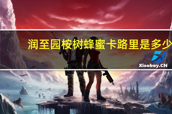 润至园 桉树蜂蜜卡路里是多少