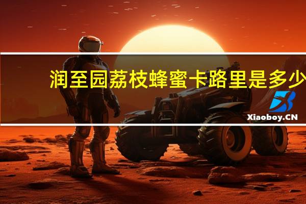 润至园 荔枝蜂蜜卡路里是多少