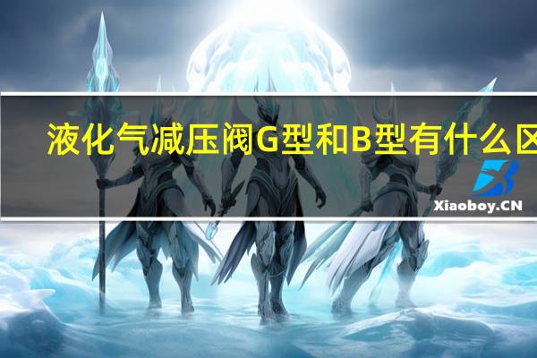 液化气减压阀G型和B型有什么区别