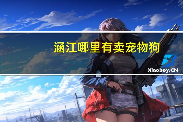 涵江哪里有卖宠物狗
