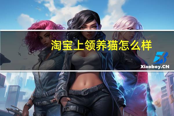 淘宝上领养猫怎么样