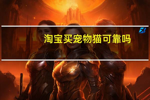 淘宝买宠物猫可靠吗