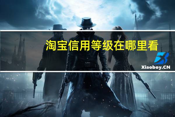 淘宝信用等级在哪里看（淘宝信用等级在哪里看?）