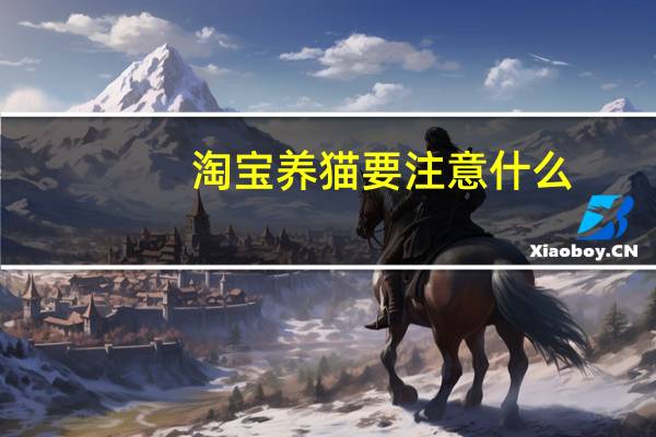 淘宝养猫要注意什么