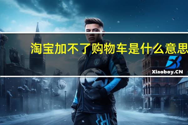 淘宝加不了购物车是什么意思（淘宝加不了购物车）