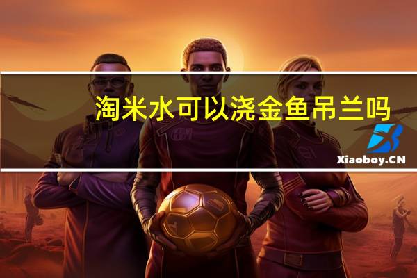 淘米水可以浇金鱼吊兰吗
