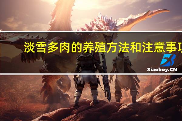 淡雪多肉的养殖方法和注意事项