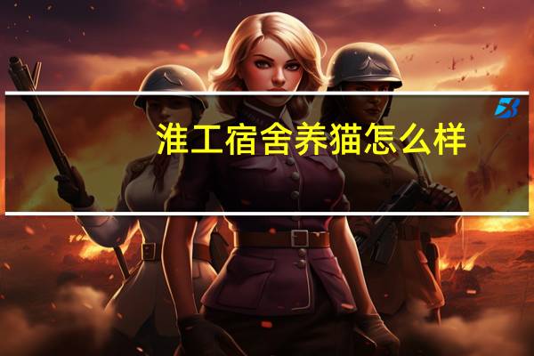淮工宿舍养猫怎么样