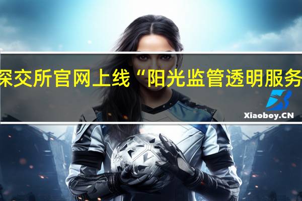 深交所官网上线“阳光监管 透明服务”专栏