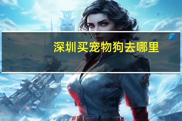 深圳买宠物狗去哪里
