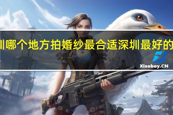 深圳哪个地方拍婚纱最合适 深圳最好的婚纱摄影