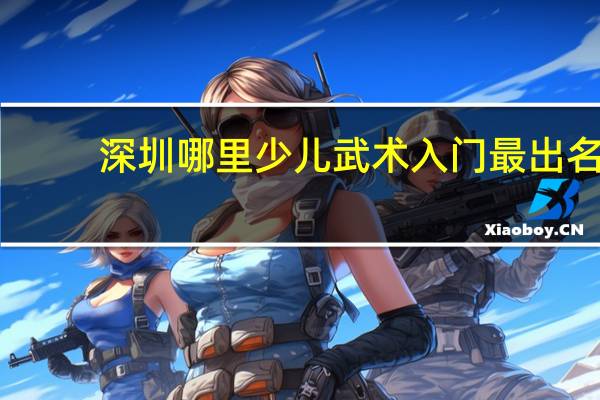 深圳哪里少儿武术入门最出名