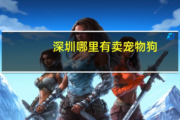 深圳哪里有卖宠物狗