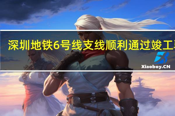 深圳地铁6号线支线顺利通过竣工验收