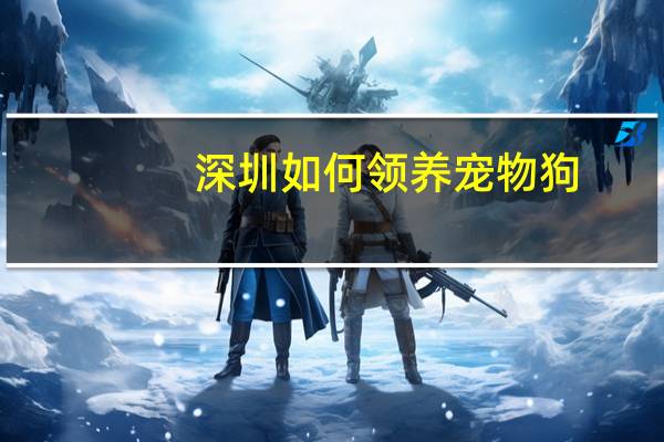 深圳如何领养宠物狗