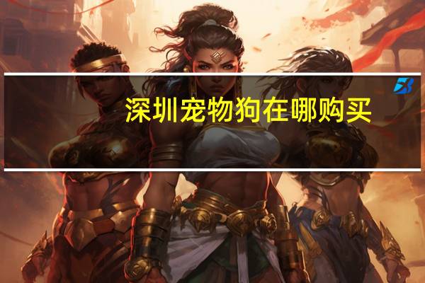 深圳宠物狗在哪购买