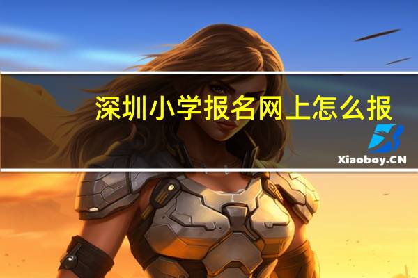深圳小学报名网上怎么报（深圳小学入学网上报名）