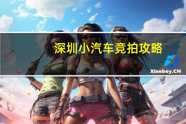 深圳小汽车竞拍攻略（深圳小汽车竞价技巧）