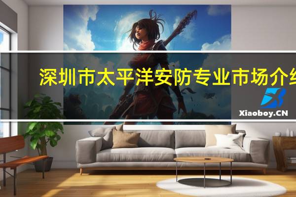 深圳市太平洋安防专业市场介绍