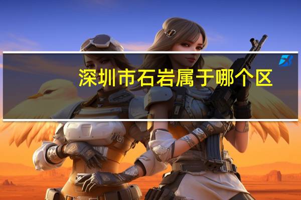 深圳市石岩属于哪个区