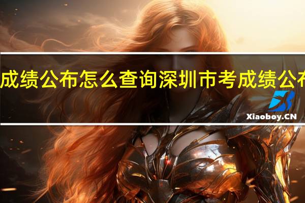 深圳市考成绩公布 怎么查询深圳市考成绩公布查询入口详情