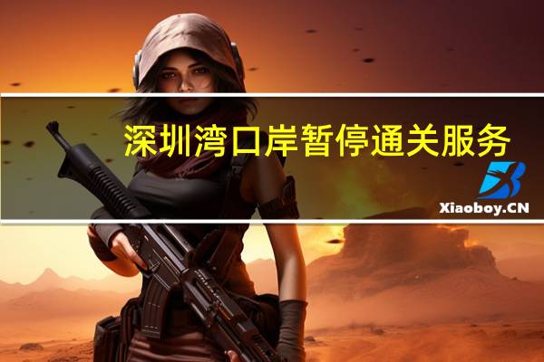 深圳湾口岸暂停通关服务