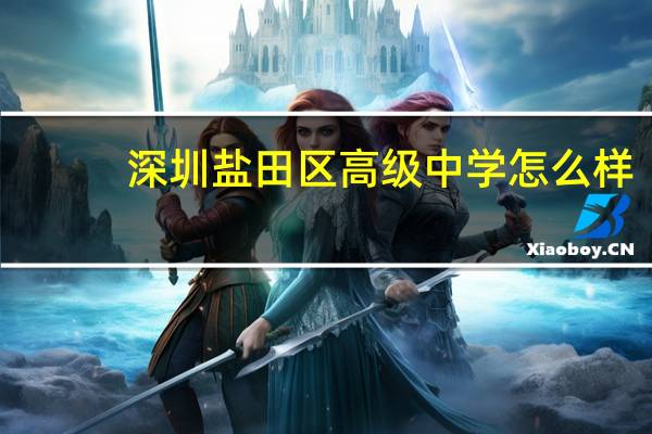 深圳盐田区高级中学怎么样