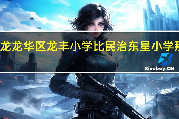 深圳龙龙华区龙丰小学比民治东星小学那个学校好