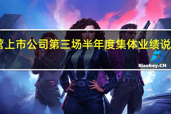 深市民营上市公司第三场半年度集体业绩说明会21日举行