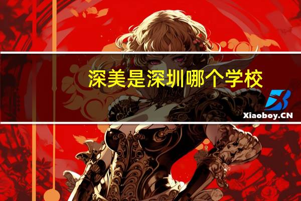 深美是深圳哪个学校