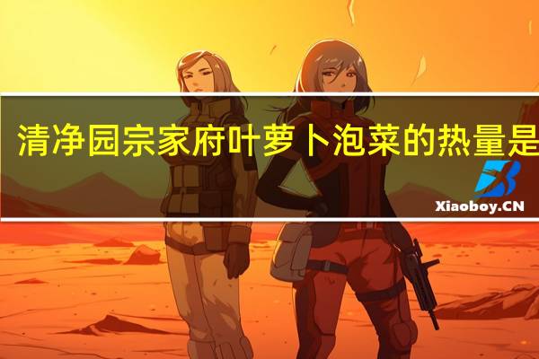 清净园 宗家府 叶萝卜泡菜的热量是多少