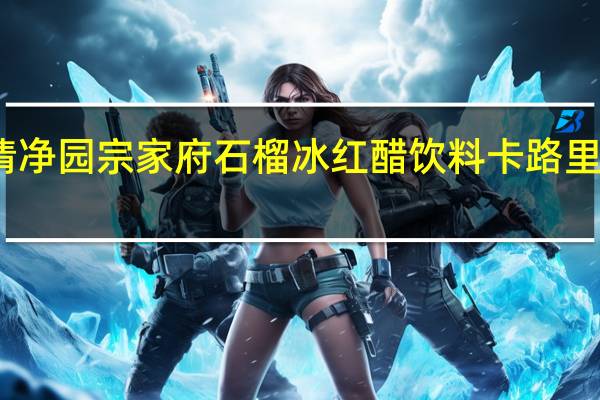 清净园 宗家府 石榴冰红醋饮料卡路里是多少