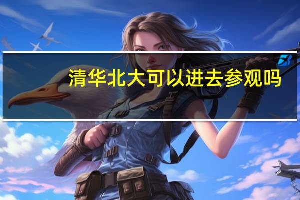 清华北大可以进去参观吗?