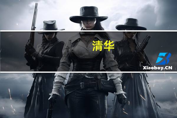 清华，外经贸,上财，西南财大，东南财大，厦大的经济类专业各自怎么样