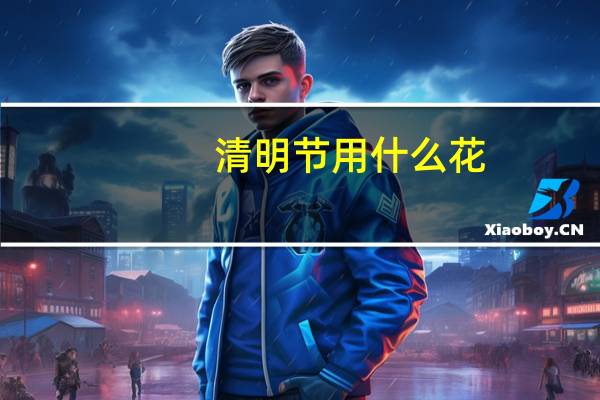 清明节用什么花