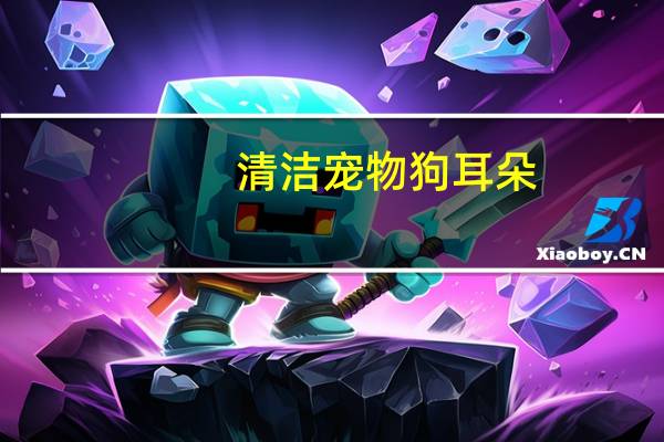 清洁宠物狗耳朵