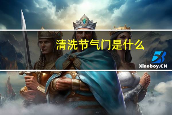 清洗节气门是什么(节气门是什么)