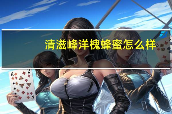 清滋峰洋槐蜂蜜怎么样