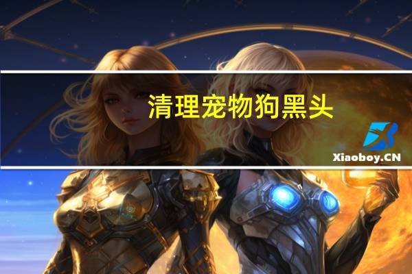 清理宠物狗黑头