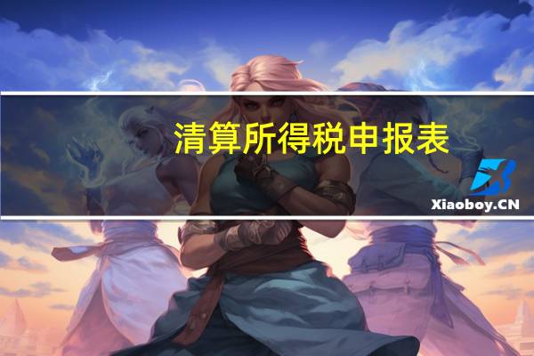 清算所得税申报表（清算所得）