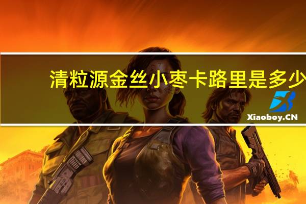 清粒源 金丝小枣卡路里是多少