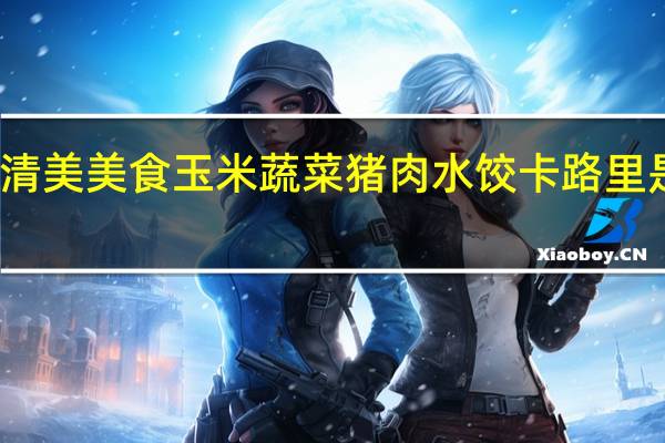 清美 美食 玉米蔬菜猪肉水饺卡路里是多少