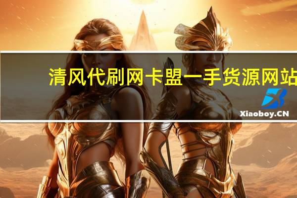 清风代刷网 卡盟一手货源网站(清风带刷网)