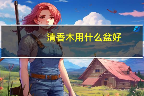 清香木用什么盆好