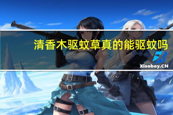 清香木驱蚊草真的能驱蚊吗