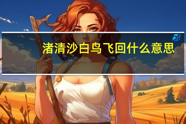 渚清沙白鸟飞回什么意思