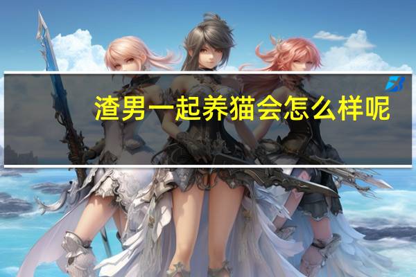 渣男一起养猫会怎么样呢