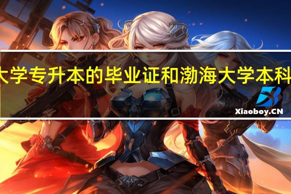 渤海大学专升本的毕业证和渤海大学本科毕业一样吗